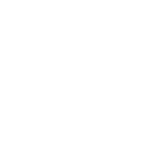 New Orleans Virtual Concierge logo for One11