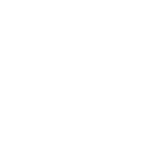 New Orleans Virtual Concierge logo for One11